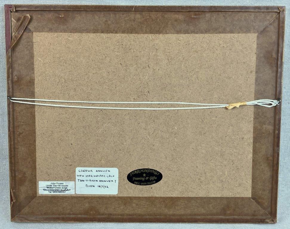 Country Landscape with Cattle Gouache Painting by John Forster, 1992 - 6