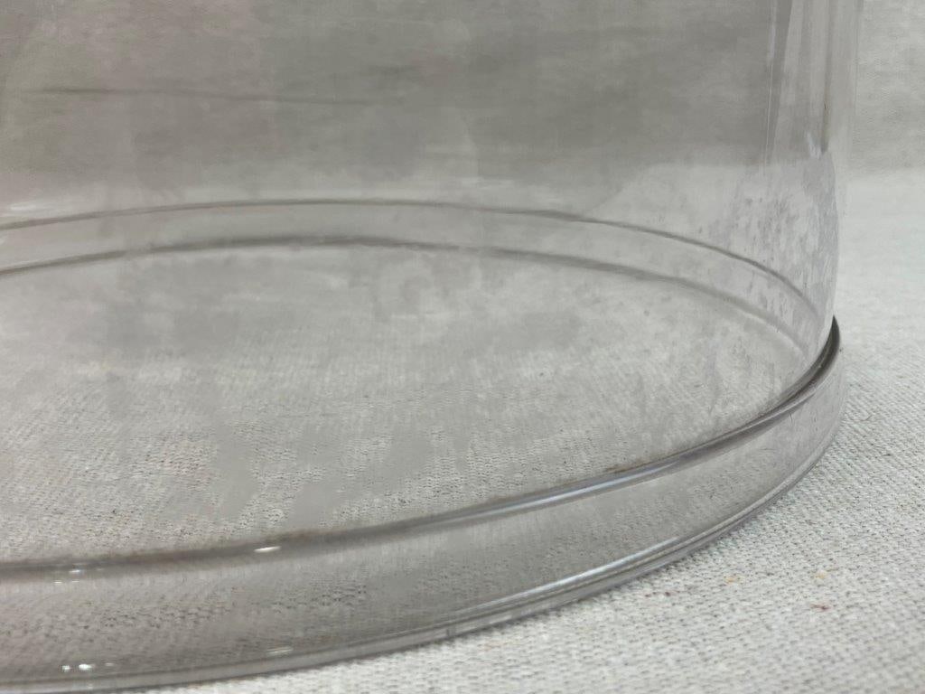 Early Glass Cake Dome - 6