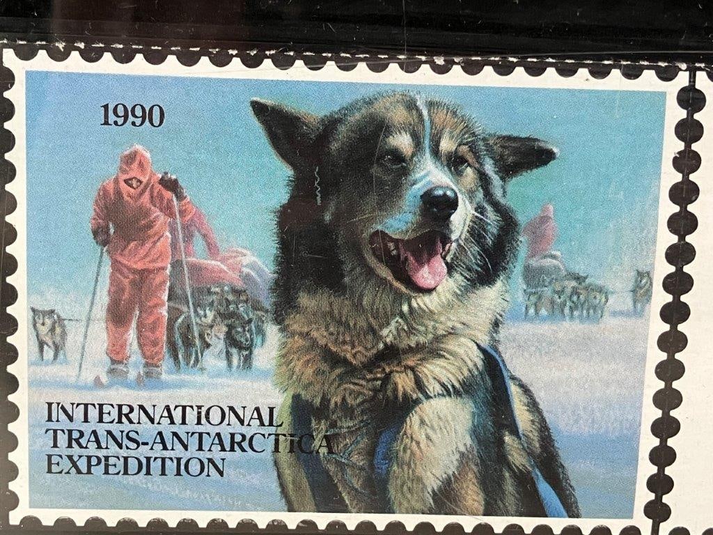 Yeager Husky, Pastel, Bryan Moon - 5