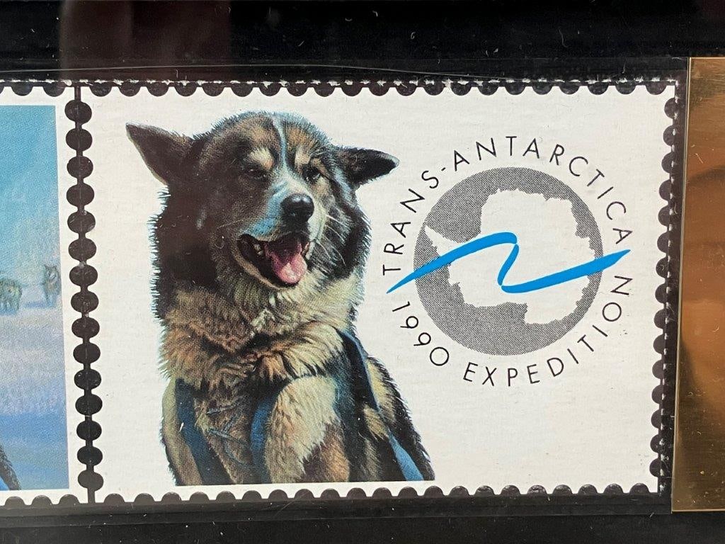 Yeager Husky, Pastel, Bryan Moon - 6