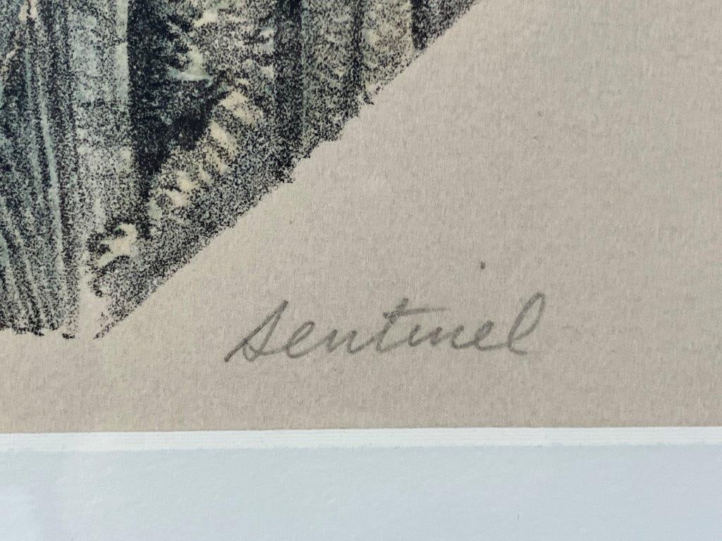 Abstract Mountain, Lithograph, David Lam - 6