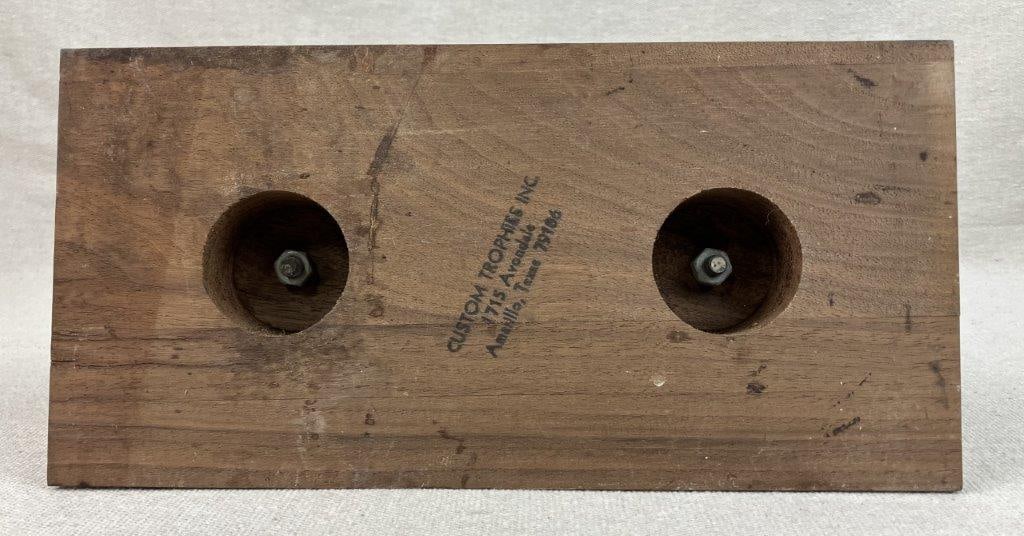 Three American Quarter Horse Association (AQHA) Trophies - 8