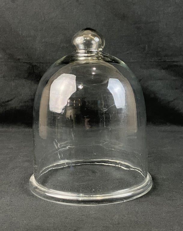 Glass Cloche Dome - 2