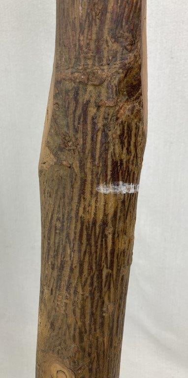 Folk Art Hickory Coat Stands - 7