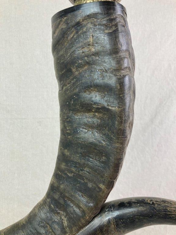 Horn Table Lamp - 2