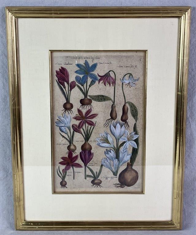 Crocus, From Florilegium by Emanuel Sweert: Hand-colored copperplate engraving on paper dated 1612, from the first edition of Emanuel Sweert’s celebrated botanical catalog. Plate 6 from Sweert’s renowned Florilegium, beautifully