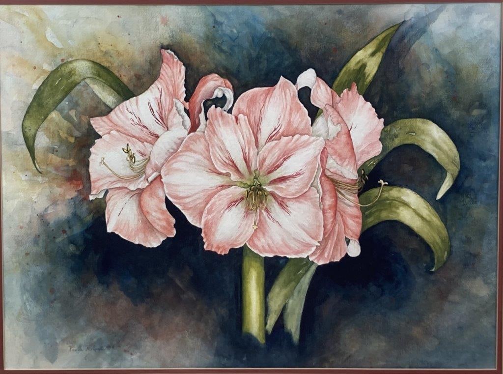 Paula Robert, Amaryllis Blossoms Watercolor Painting - 2