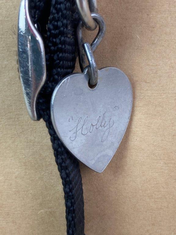 Elsie Anderson, Holly, Watercolor Painting - 7