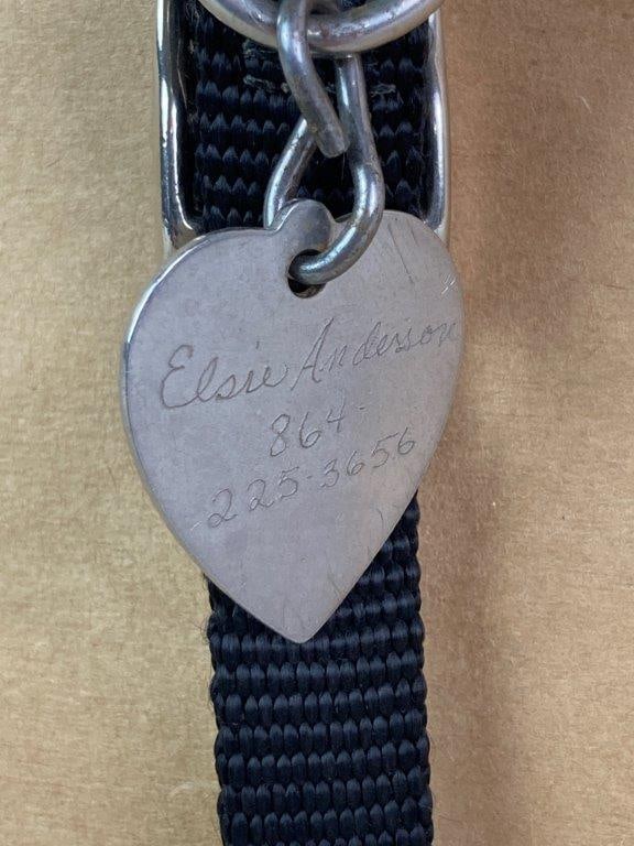 Elsie Anderson, Holly, Watercolor Painting - 8