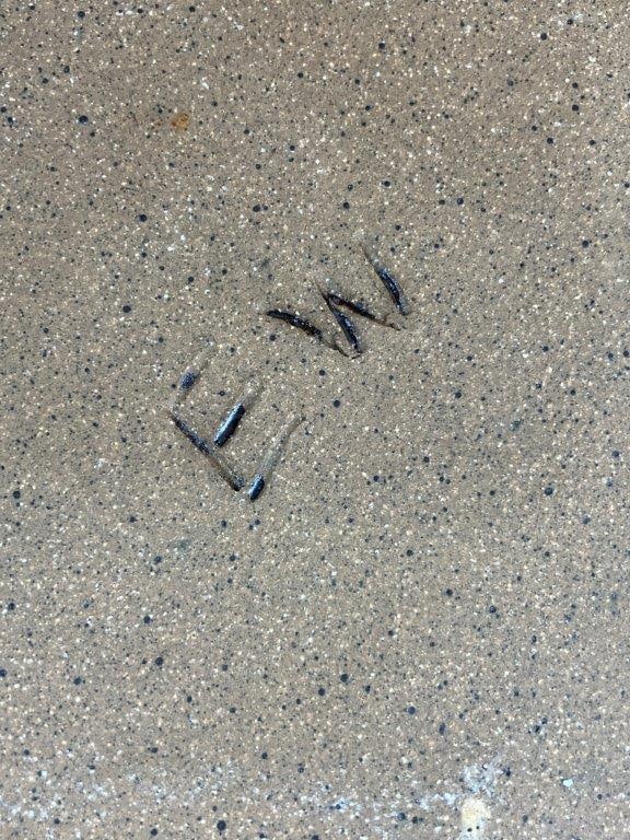 Four Studio Pottery Plates - 6