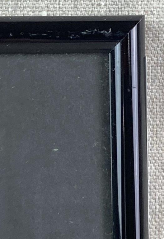 Of the Zebraic Persuasion, Theo Sable, Collage - 5