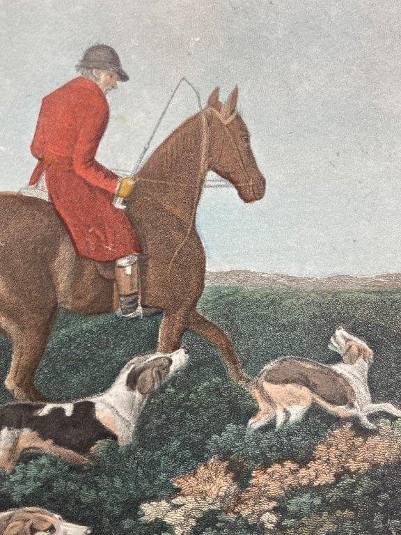 Earl of Derby’s Stag Hounds Hand-Colored Engraving After James Berenger - 4