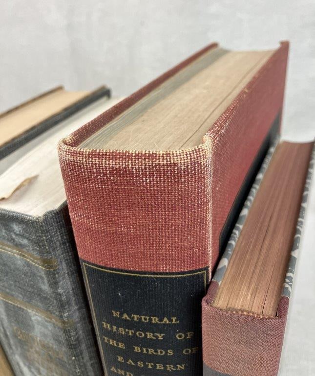 Four Classic Books, 19th/20th Century - 2