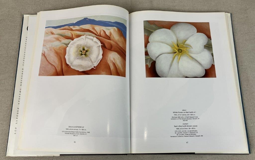 Four Country Aesthetics and Fine Art Books - 8