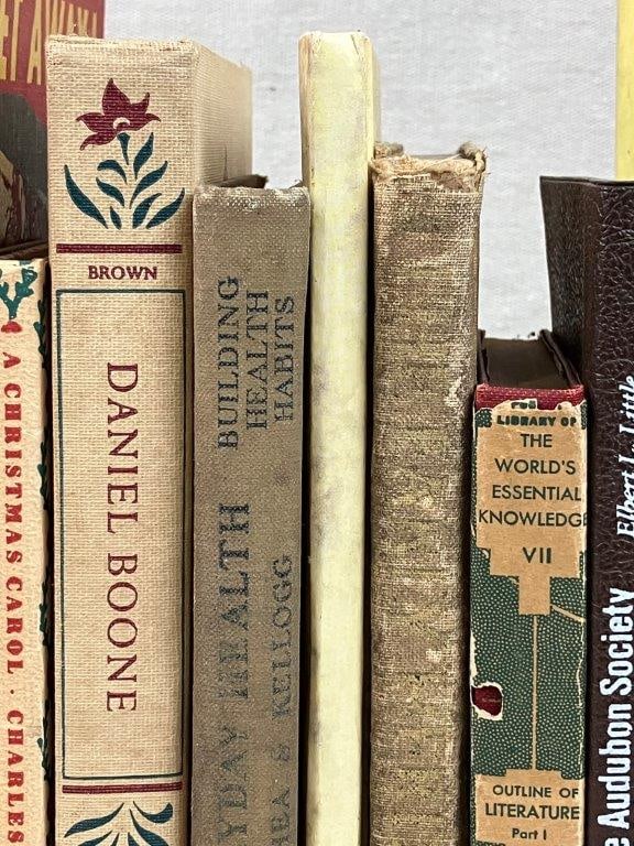 Assortment of Twenty Classic Books Including Bambi - 4