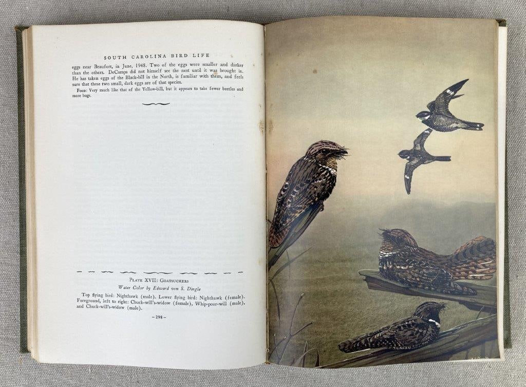 South Carolina Bird Life by Alexander Sprunt, Jr. and E. Burnham Chamberlain - 5