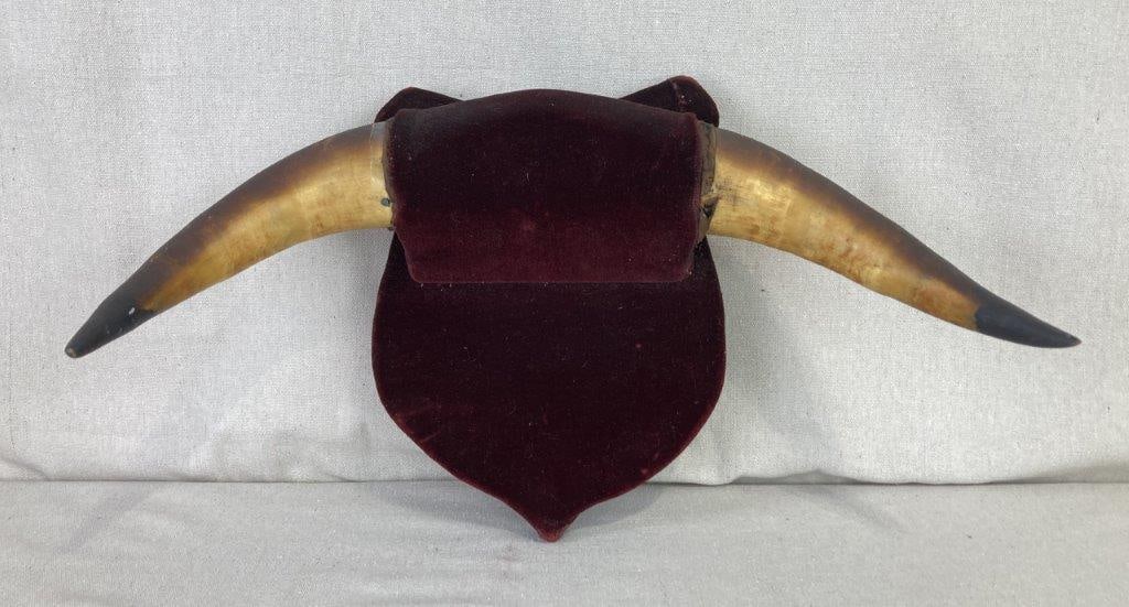 Folk Art Steer Horn Plaque: Two natural steer horns symmetrically mounted onto a shield-shaped plaque wrapped in a deep dark red velvet, The assembly exhibits a characterful worn aged patina throughout. It measures