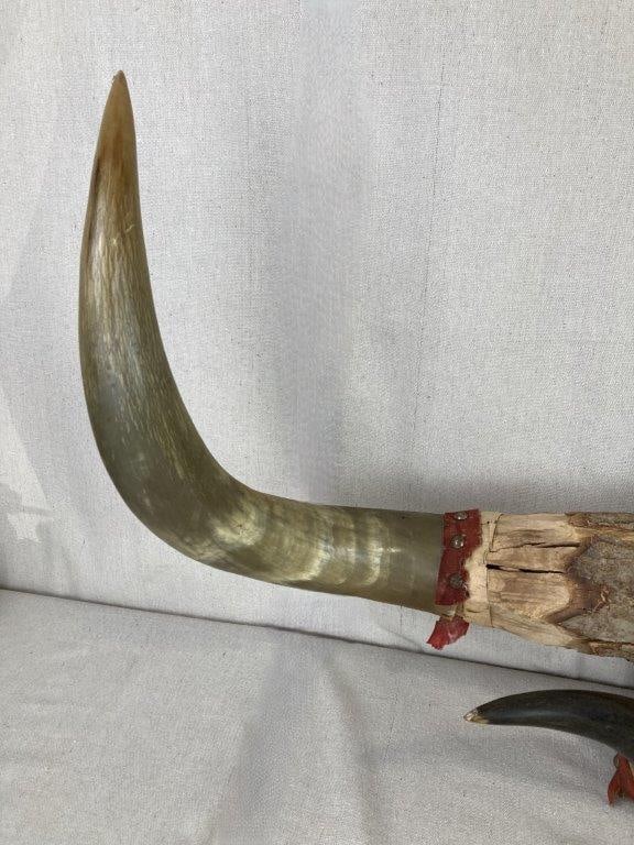Folk Art Steer Horn Plaque - 4