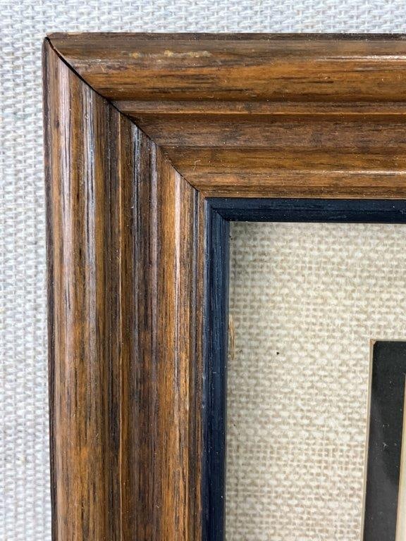 Early 20th Century Bird Chromolithographs - 6