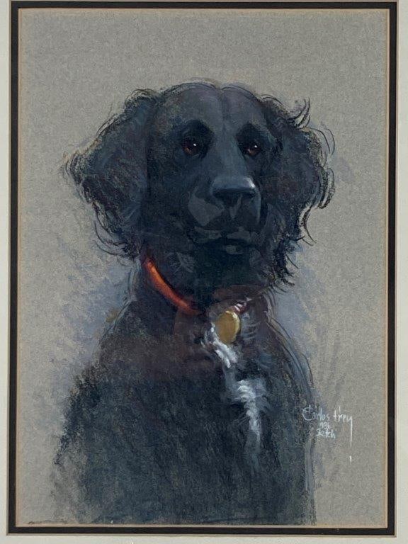 Flat-Coated Retriever, Carlos Trey, Oil Pastel - 2