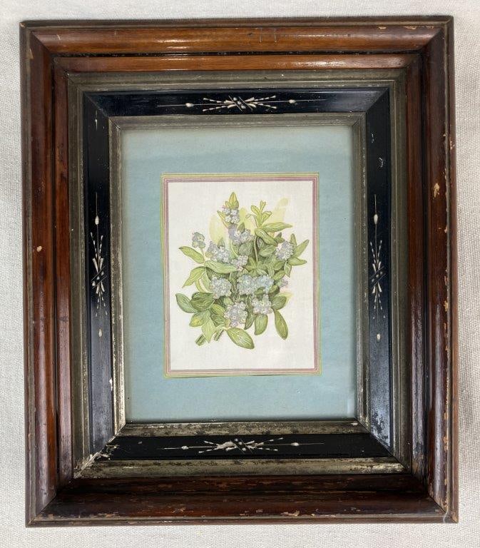 Forget-Me-Not Flowers Botanical Print in 19th Century Frame: Botanical print depicting forget-me-not flowers, presented in an antique mahogany frame with carved and incised detailing to the liner. Frame measures approximately 14 3/8â€³ H x 12