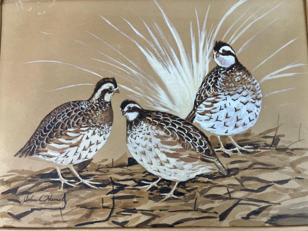 John C. Hamel Quail Bird Watercolor - 2