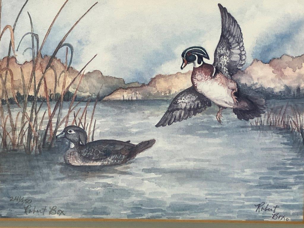 Robert Box Ducks on the Water Landscape Print - 2