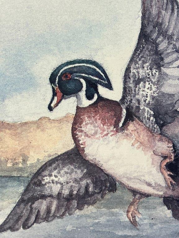 Robert Box Ducks on the Water Landscape Print - 5