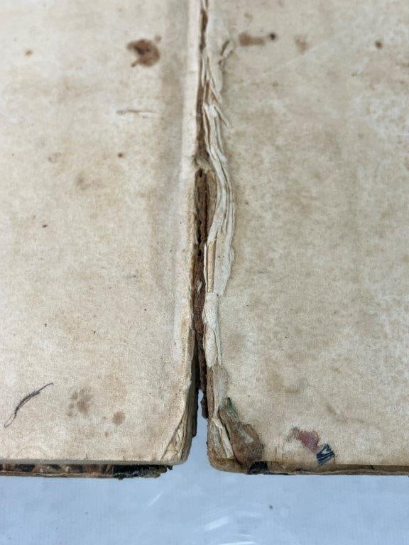 Collection of 19th Century Books - 7