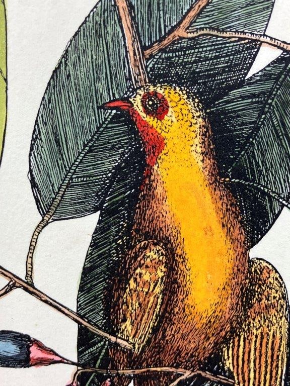Mark Catesby Yellow Titmouse Hand-Colored Lithograph - 6