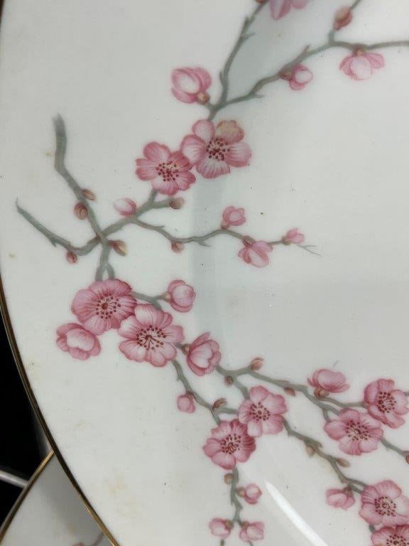 Hutschenreuther Almond Blossom Dinnerware - 2