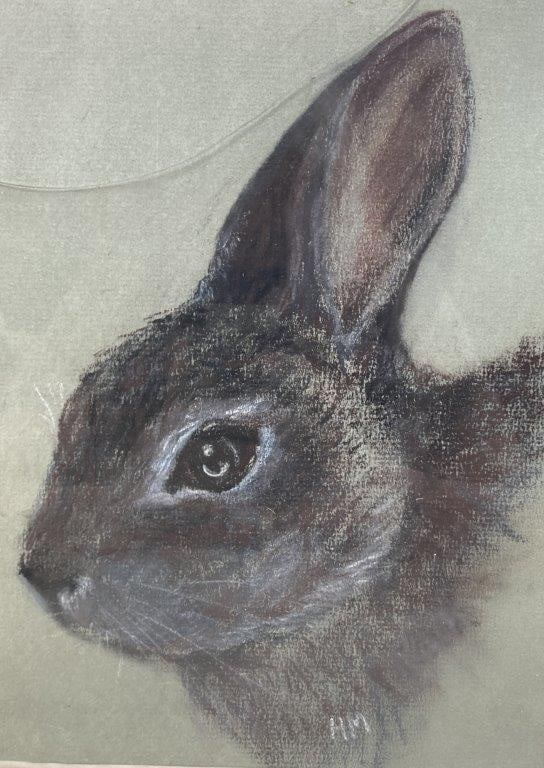 Rabbit Conte Crayon Drawing - 2