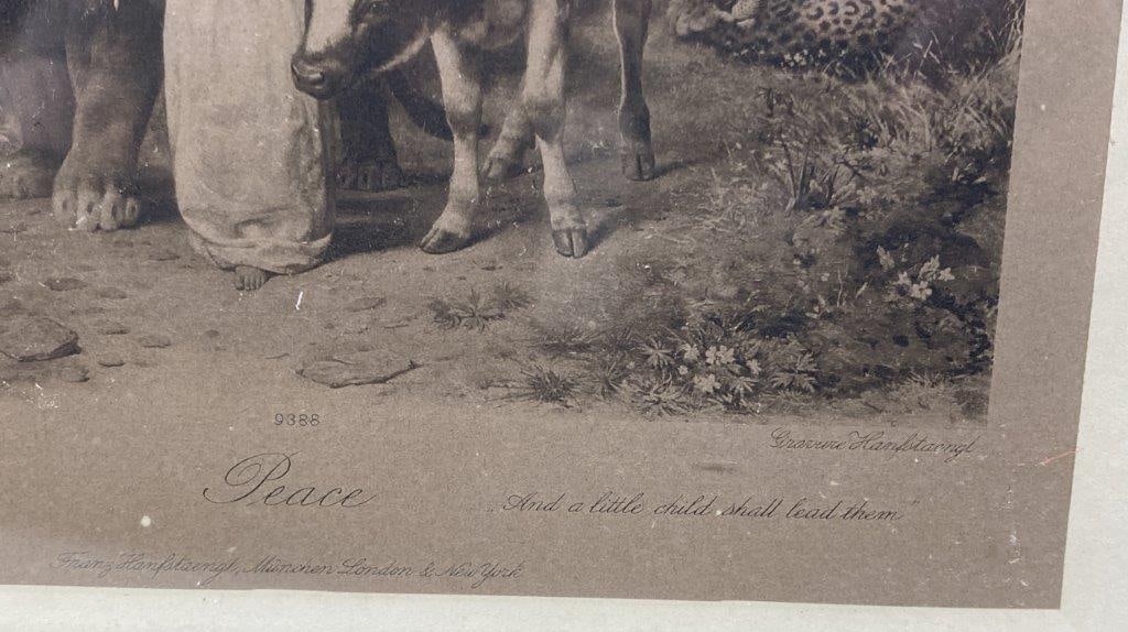 Peaceable Kingdom Animal Lithograph After William Strutt - 5