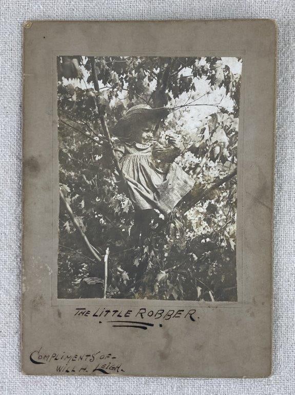 19th Century Cabinet Card of Young Girl: A historic Victorian-era cabinet card photograph attributed to Will H. Leigh, titled "The Little Robber." The image captures a young girl perched in a tree holding an object, likely representing a