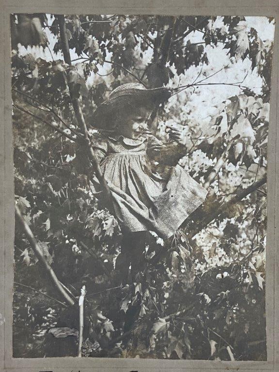 19th Century Cabinet Card of Young Girl - 2
