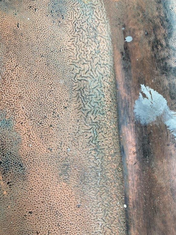 Large Toleware Tray - 3