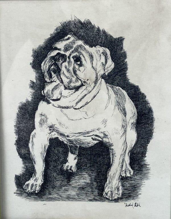 Bull Dog Pen and Ink Drawing - 2