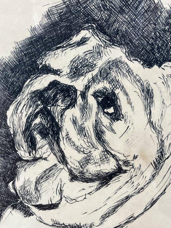 Bull Dog Pen and Ink Drawing - 3