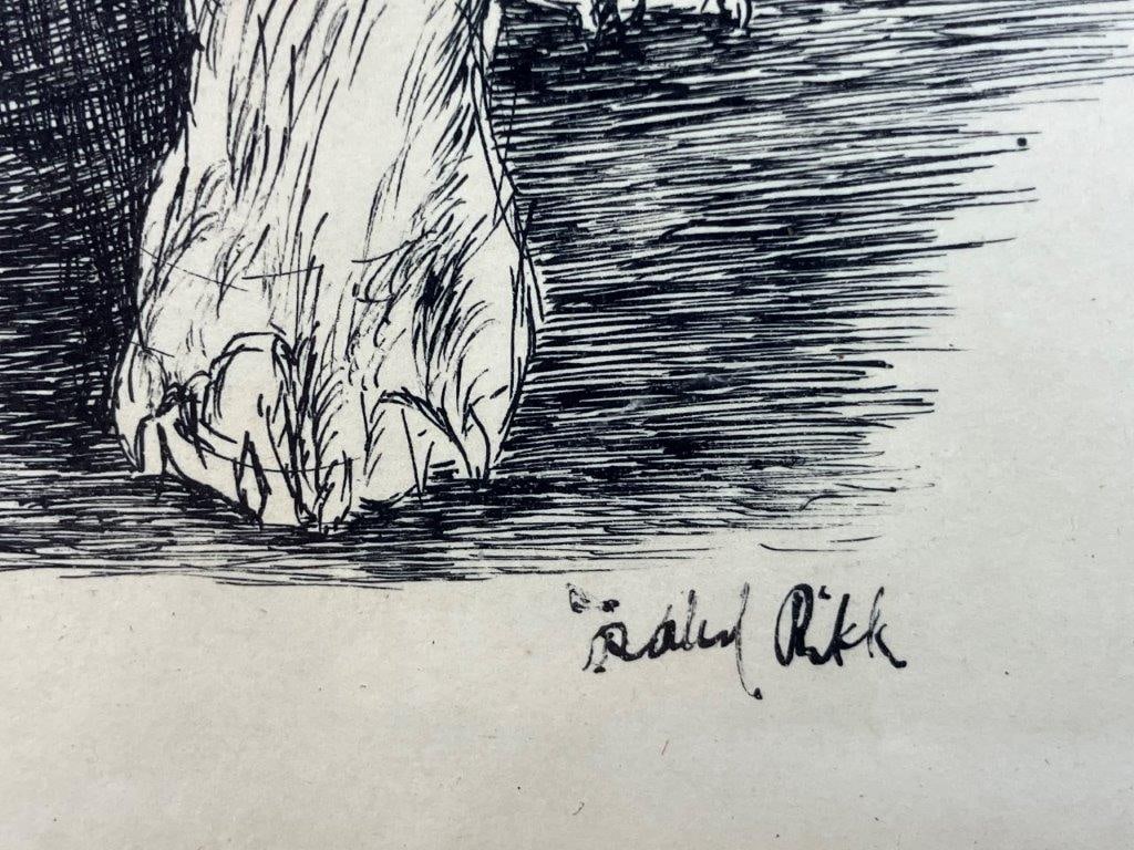 Bull Dog Pen and Ink Drawing - 4
