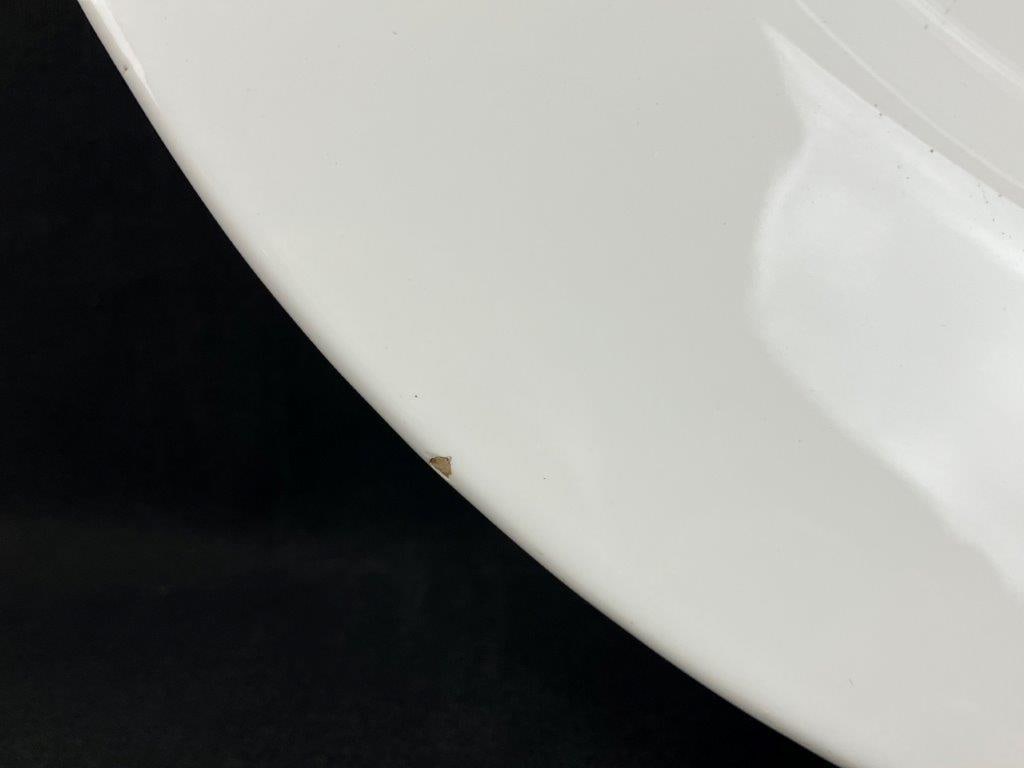 Massive Banana Republic Italian Plate - 2