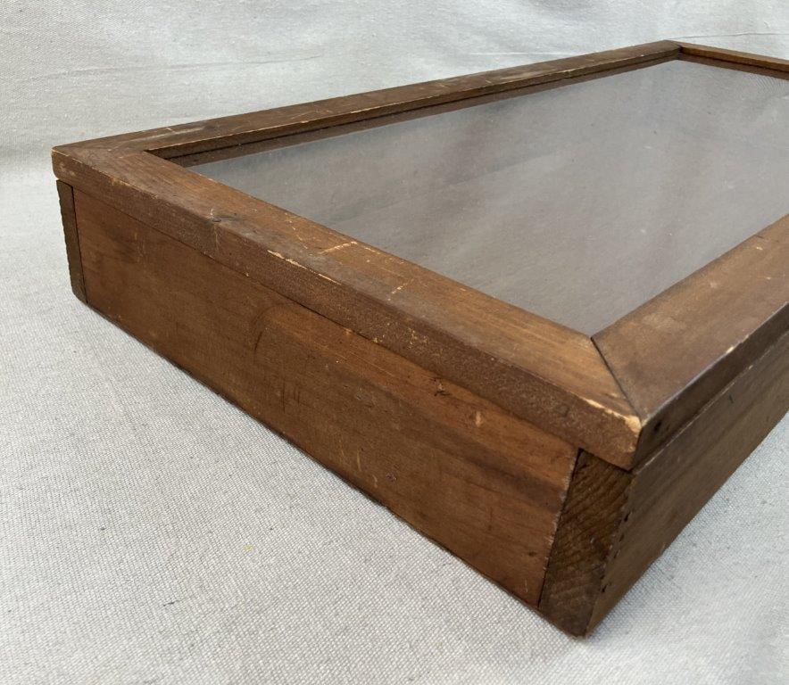 Large Display Case - 4