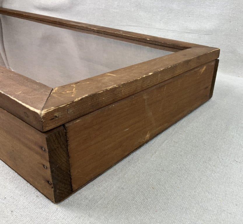 Large Display Case - 5