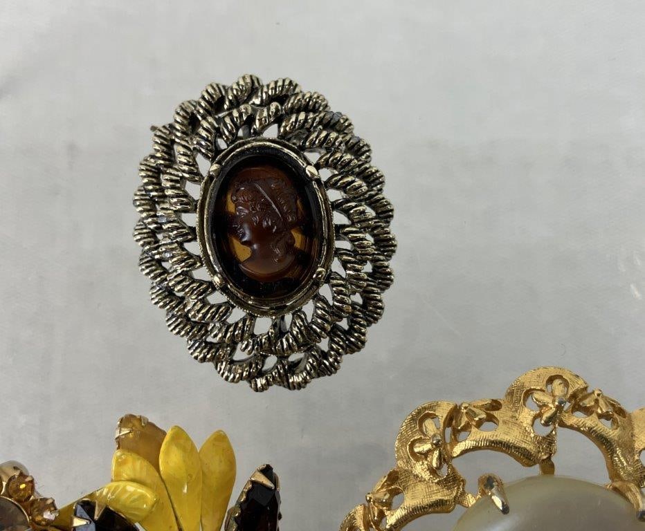Assortment of Vintage Clip-On Earrings and Brooches - 12