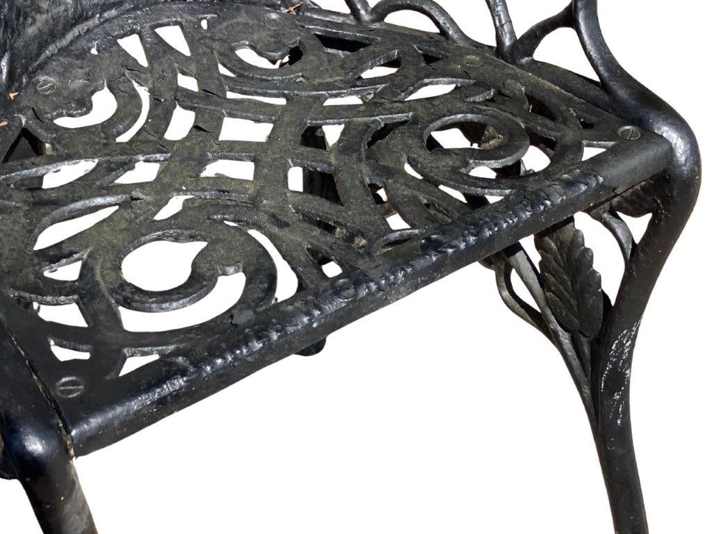 Pair of James W. Carr, Richmond, Virginia Cast-Iron Fern Pattern Arm Chairs - 4