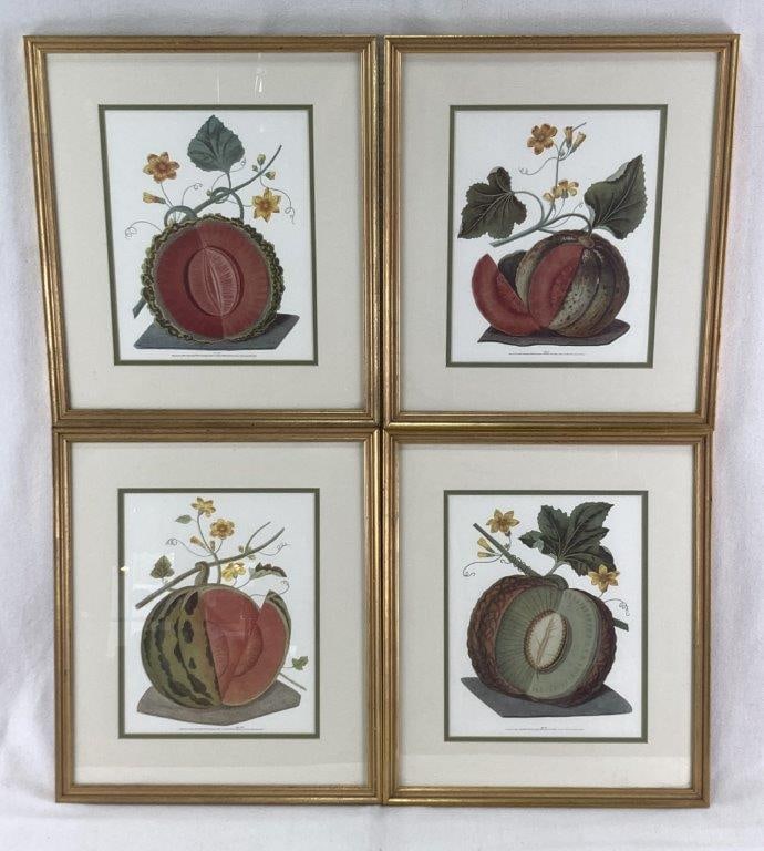 George Brookshaw, Pomona Britannica Still Lifes, Prints (1 of 20)