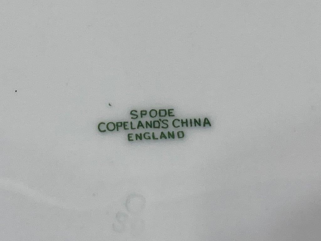 Copeland Spode Macaw Porcelain Plates - 7
