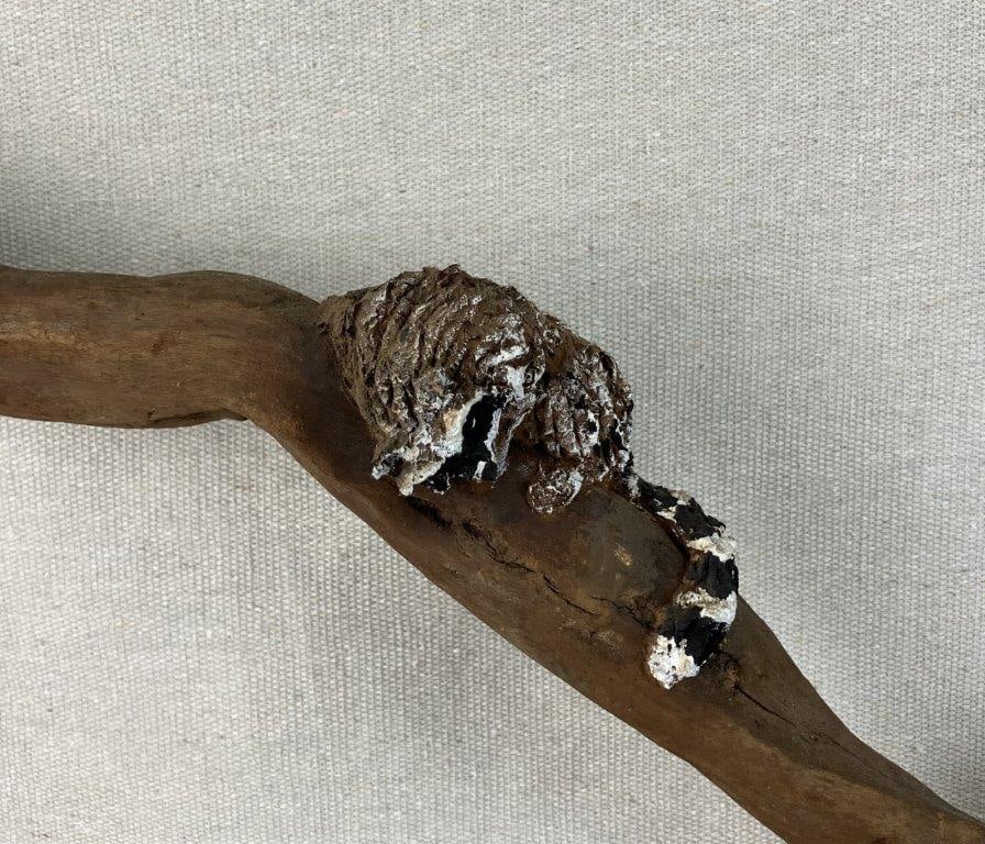 Folk Art Dog and Raccoon Hunting Sculpture - 4