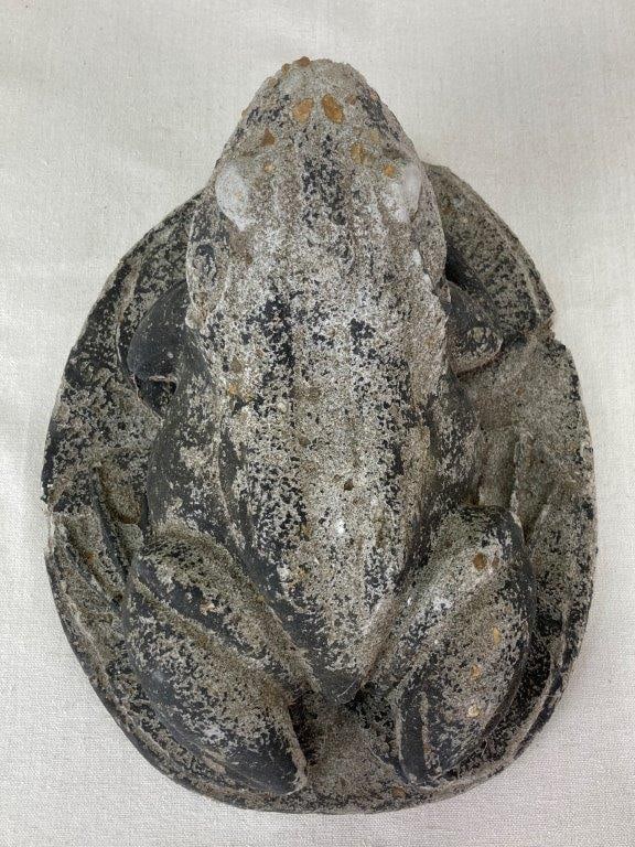 Cast Cement Garden Frog Statue - 5