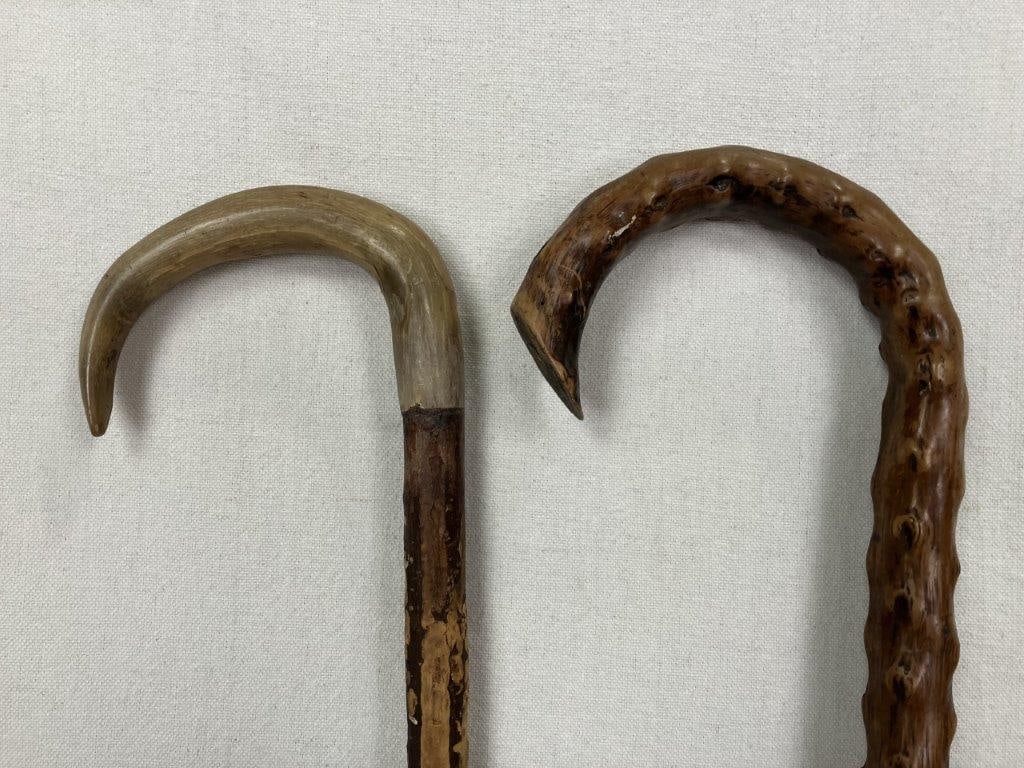 Two Organic Form Canes - 2