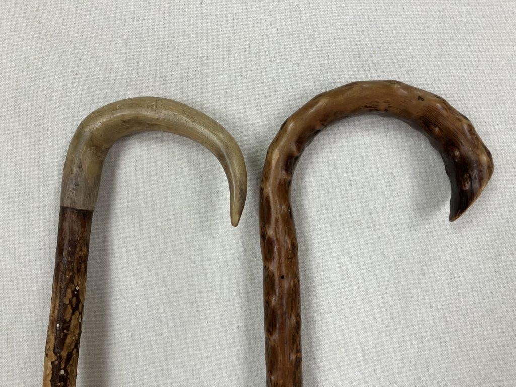 Two Organic Form Canes - 3